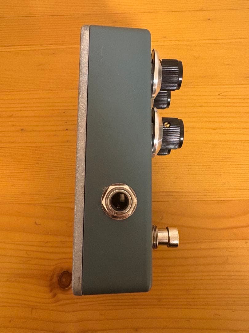 ギター 1995fx Ravenus