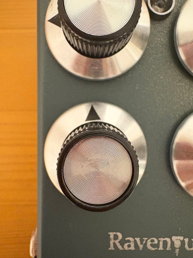 ギター 1995fx Ravenus