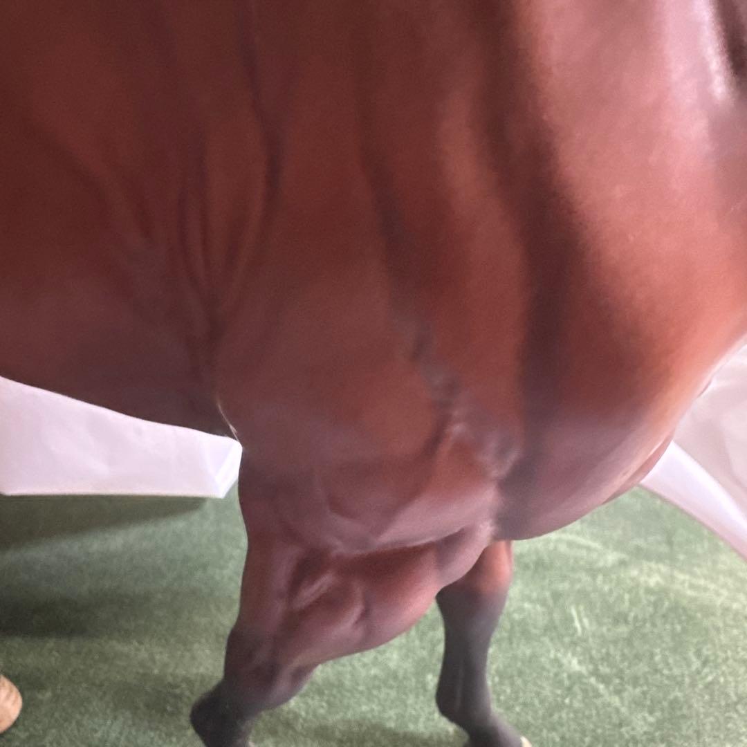 ☆馬・高級置物【ロイヤルドルトン・焼き物】訳あり☆