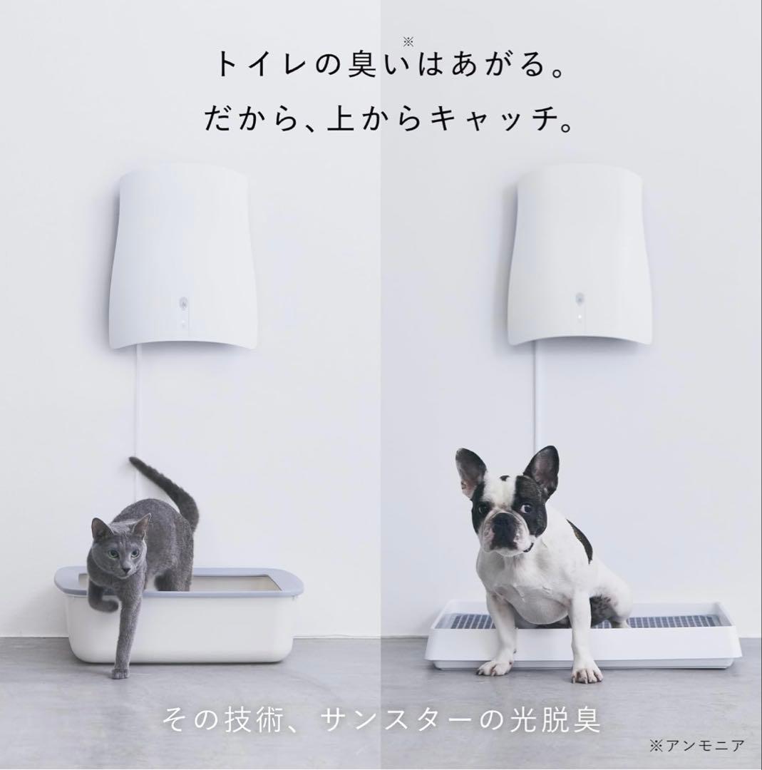 【新品未使用】SUNSTAR　QAIS-air- 04A1J