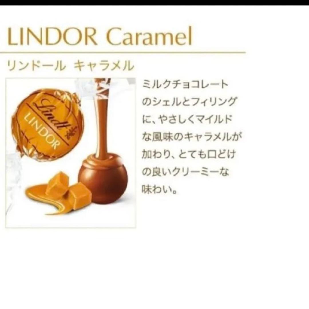 直営店購入 限定フレーバー リンドール 9種類2袋 1kg ショップ袋2枚同梱