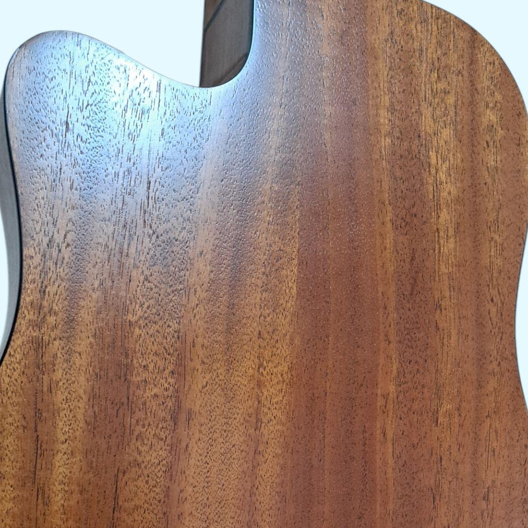 ✨美品✨Elvis 　Master 1　アコースティックギター 　ソフトケース付