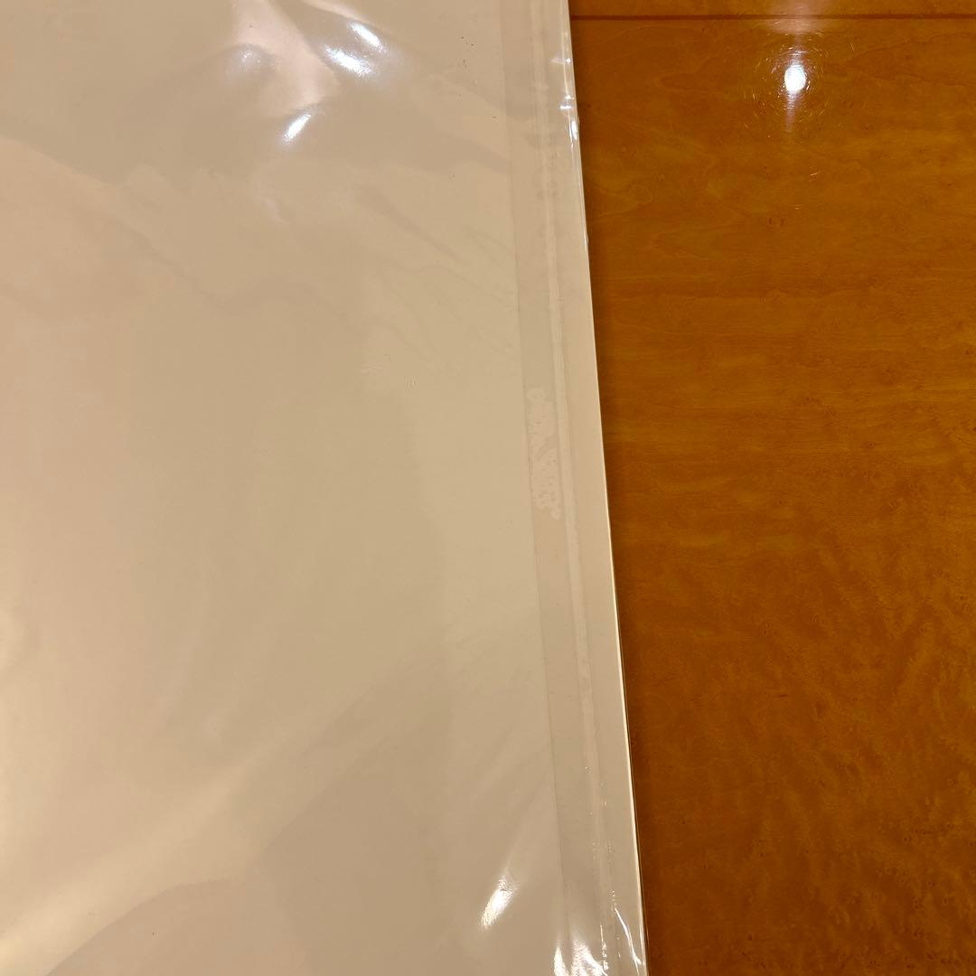 貴重 正規品 サイトゥオンブリー Cy Twombly ポスター