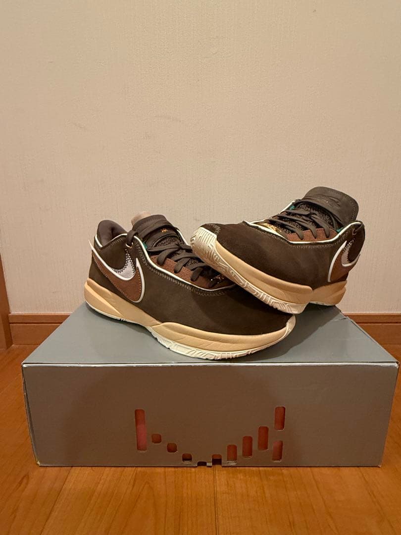 シューズ(男性用) Nike LeBron 20 \