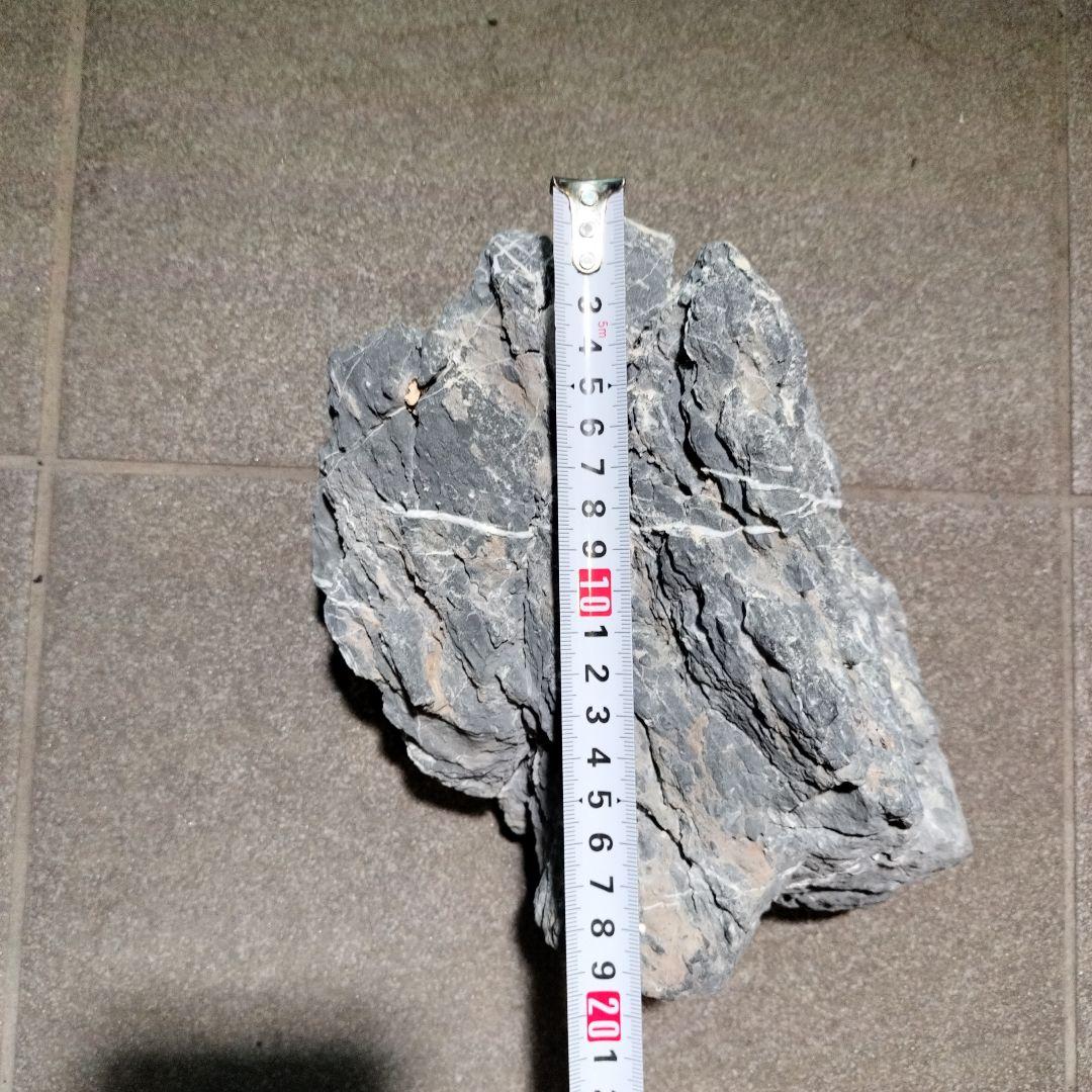 龍王石　4つセット　親石