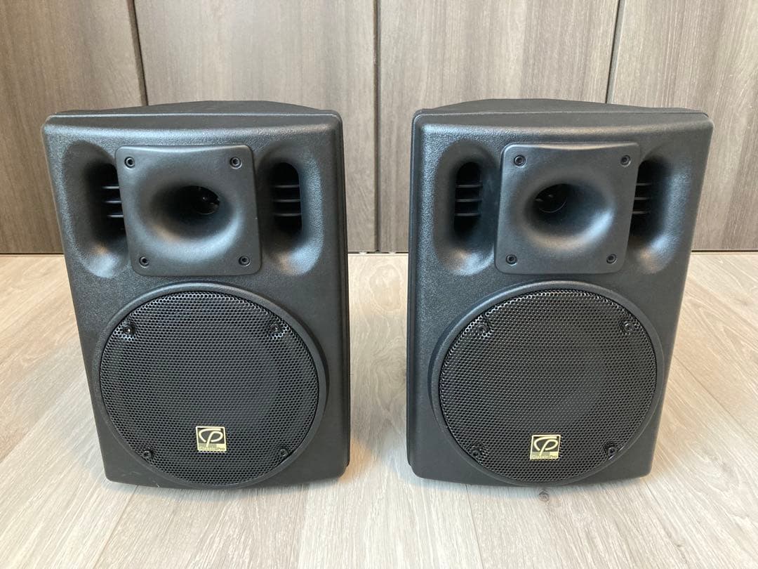 【美品＋バッグ付き】CSP6 2ウェイ パッシブスピーカー