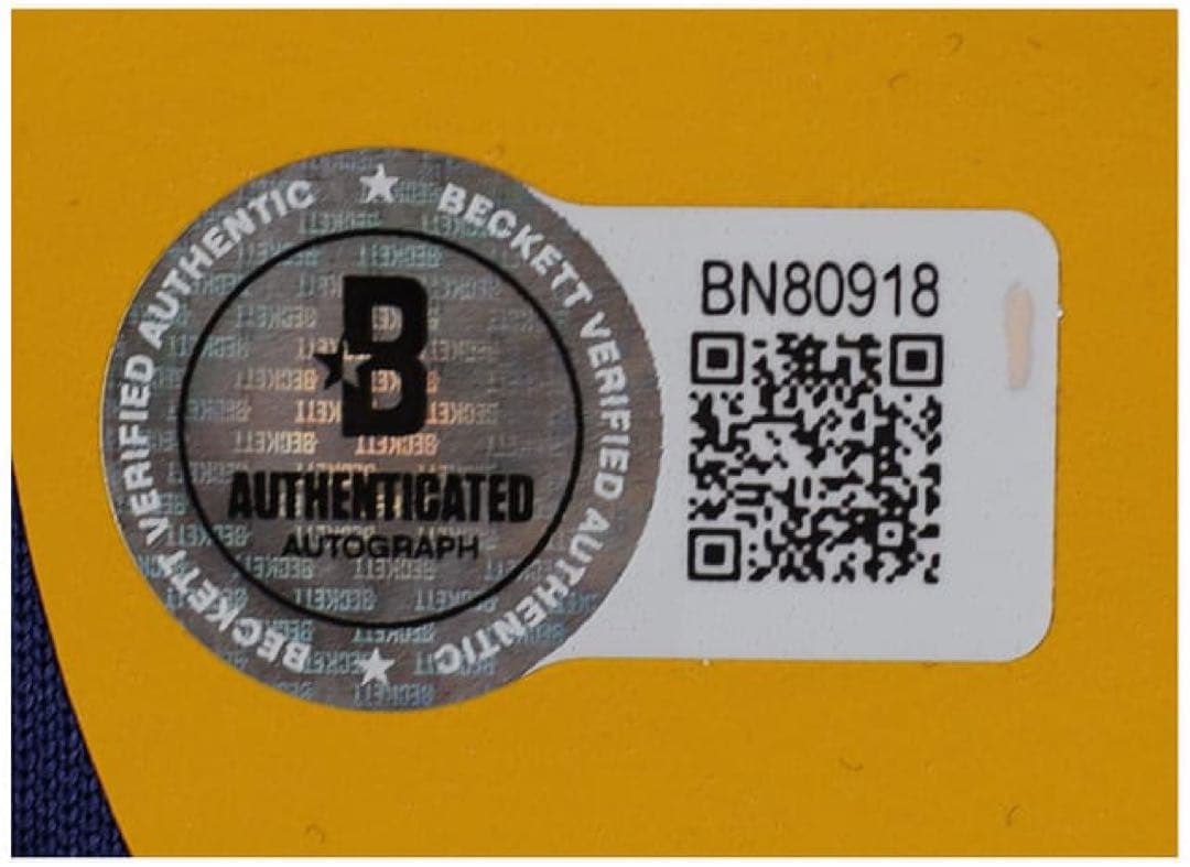 XAVI 8 スペイン代表 ジャージ 2010 ベケット鑑定済