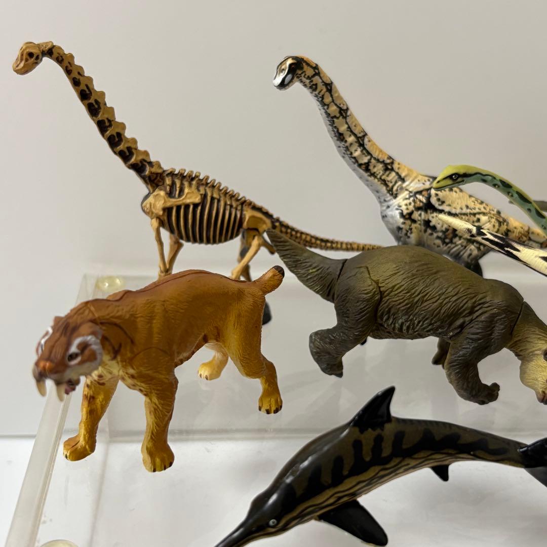 超リアルな恐竜・古代生物フィギュア チョコラザウルス UHA味覚糖 まとめ
