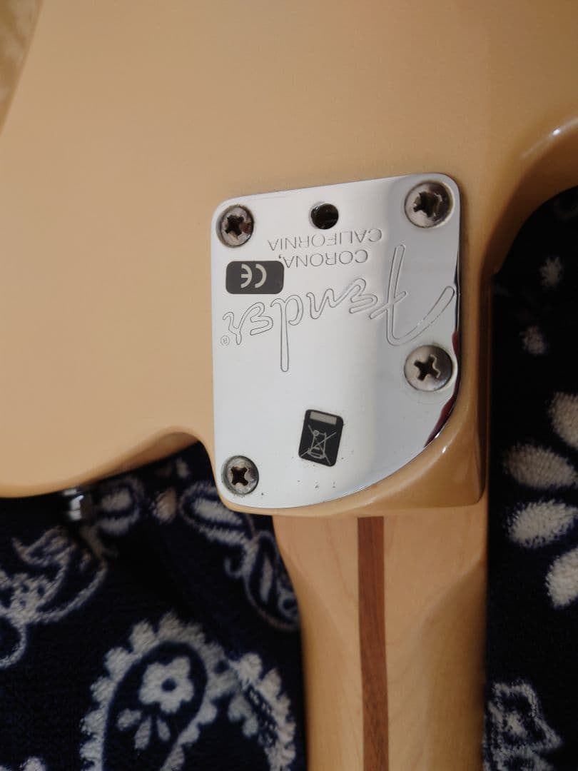 Fender American Deluxe Telecasterハードケース付