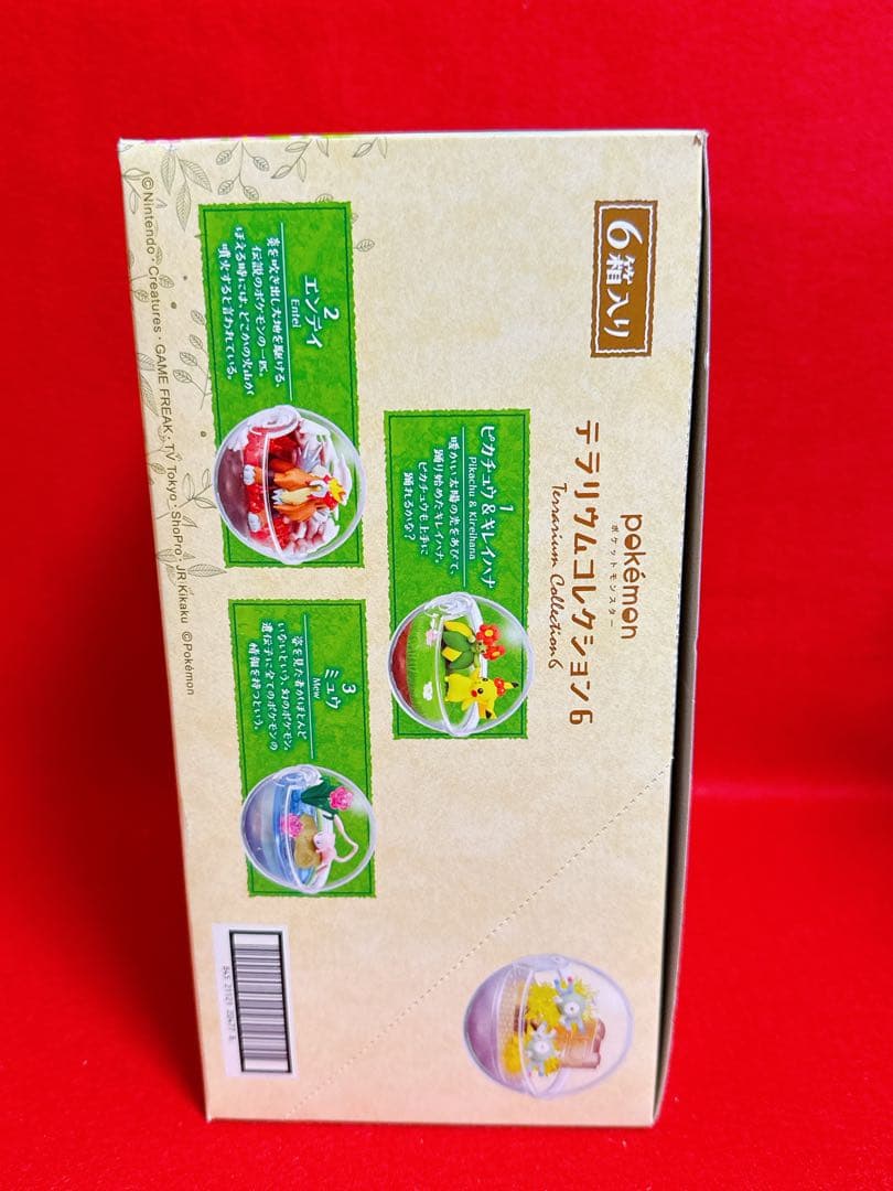 ポケモン テラリウム 6 コンプリート セット Box