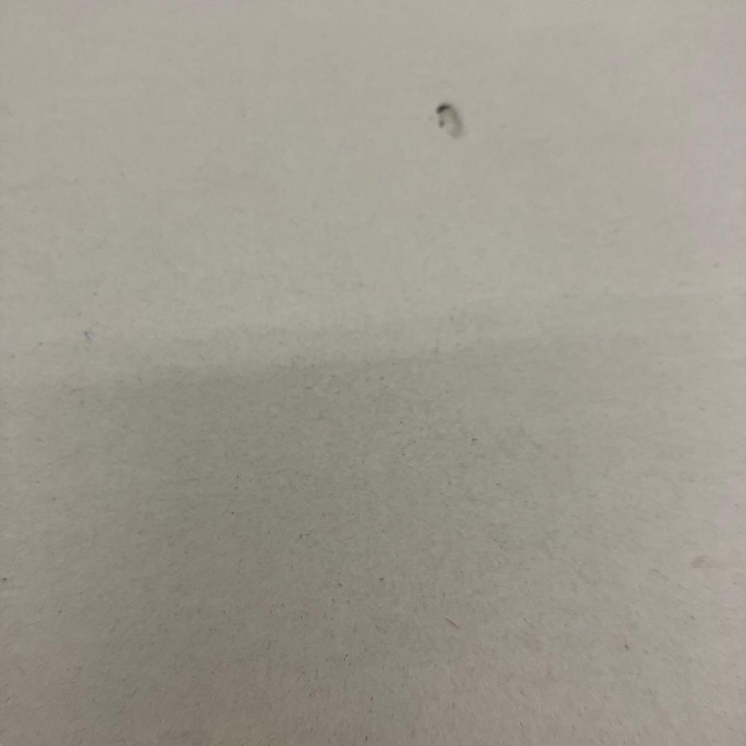 HF8757 未開封 CSM Vバックル＆ドラグバイザー