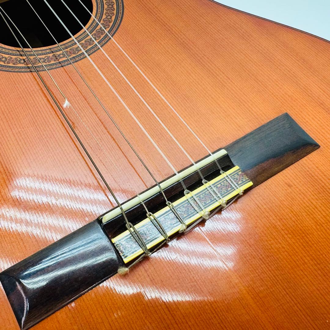 SUZUKI VIOLIN アコースティックギター　No.37