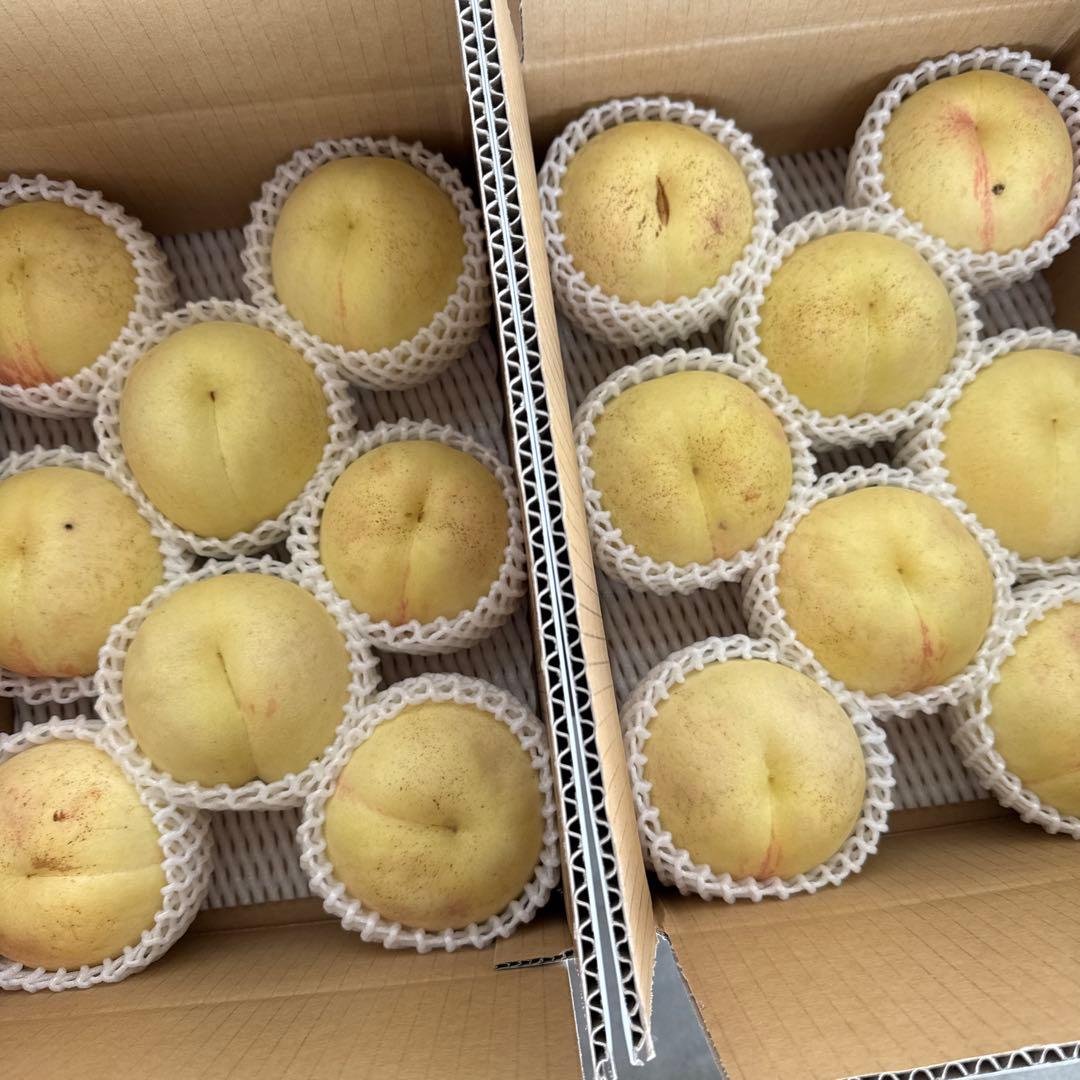 幻の桃　シーエックス