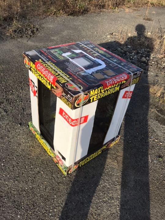 爬虫類 両生類 観賞用ガラスケース