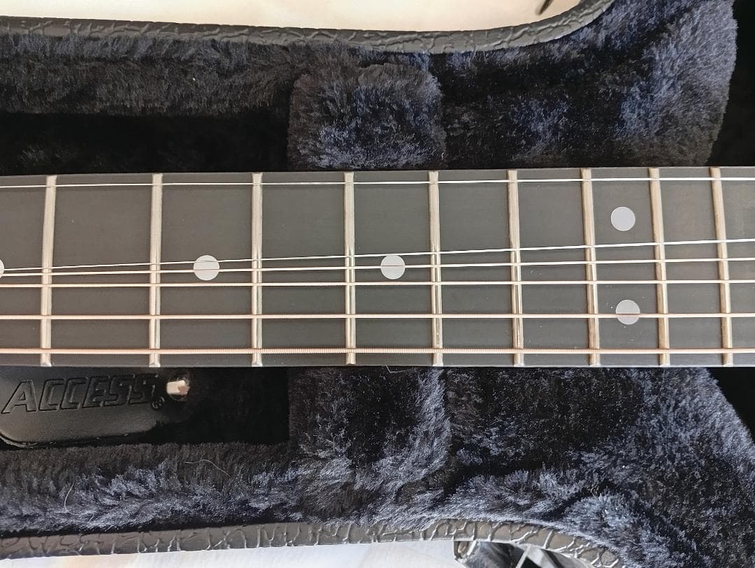 RainSong “Made in U.S.A.”エレアコ w/OHC EX+