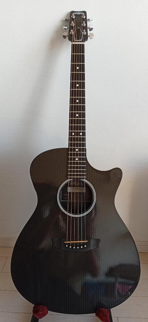 RainSong “Made in U.S.A.”エレアコ w/OHC EX+