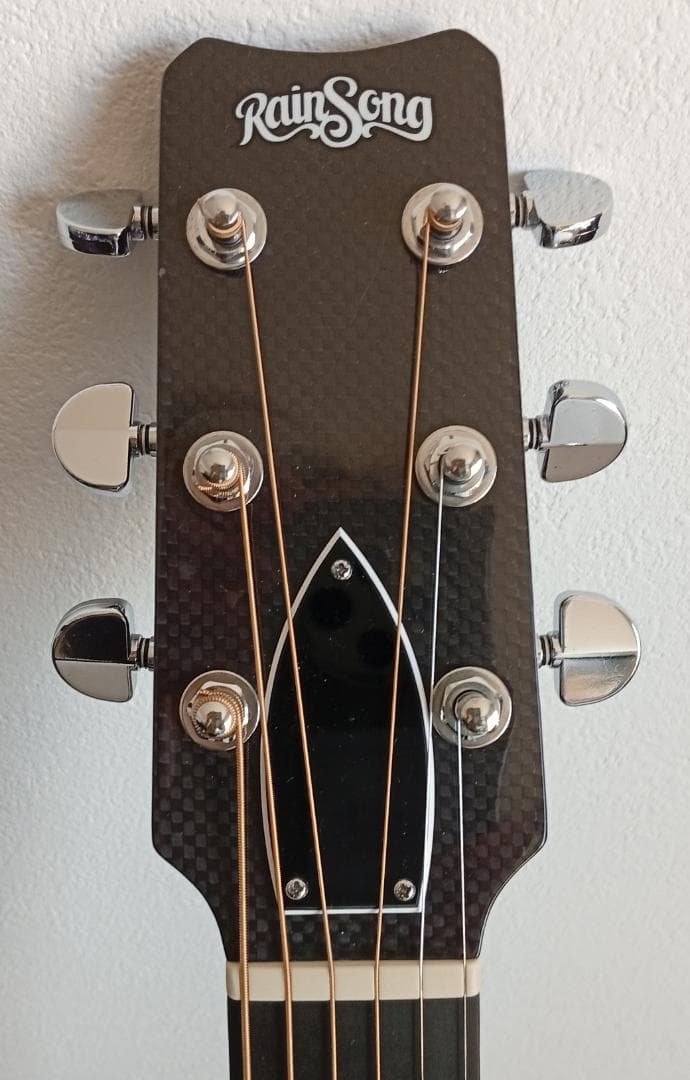 RainSong “Made in U.S.A.”エレアコ w/OHC EX+