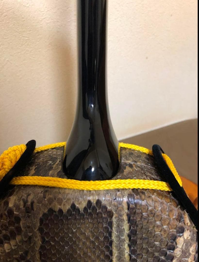 八重山赤ユシギ三線