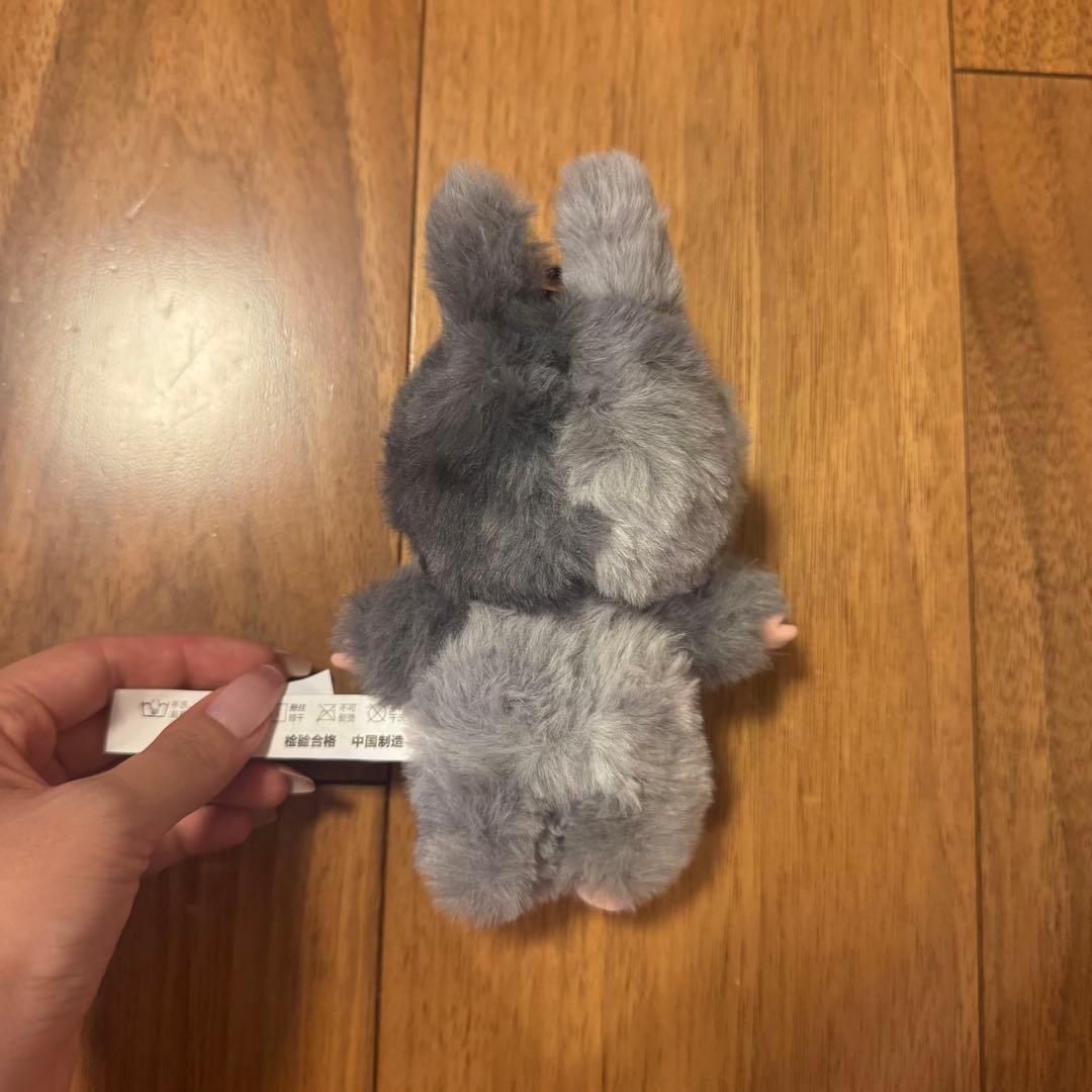 ラブブ　エナジー　シークレット　LABUBU Energy