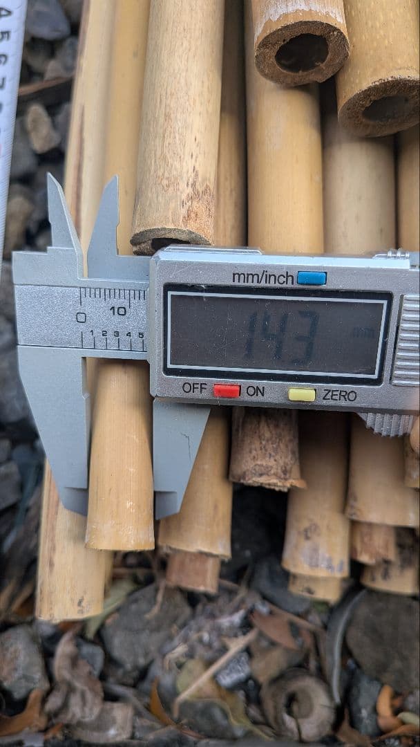 篠竹 篠笛素材７０本まとめ売り。