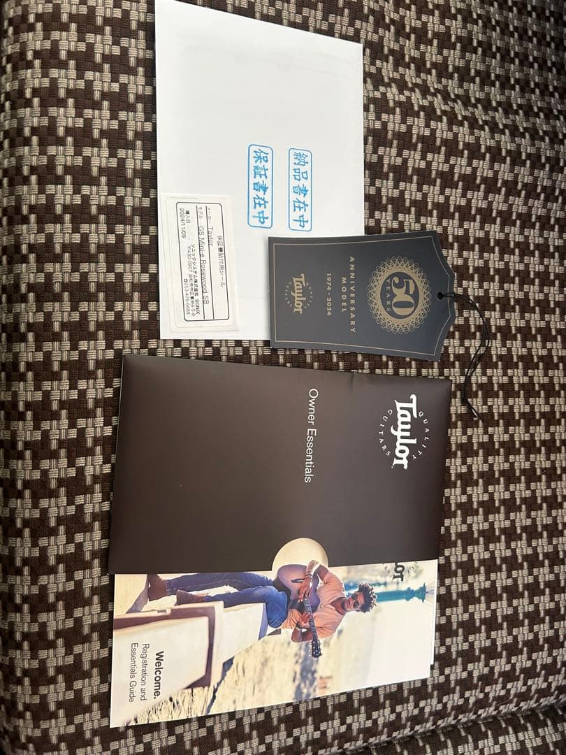 Taylor GS mini 50周年記念モデル