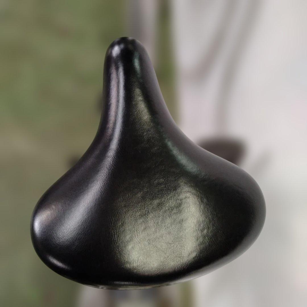 [761]送料無料 ブリヂストン Assista 電動アシスト自転車