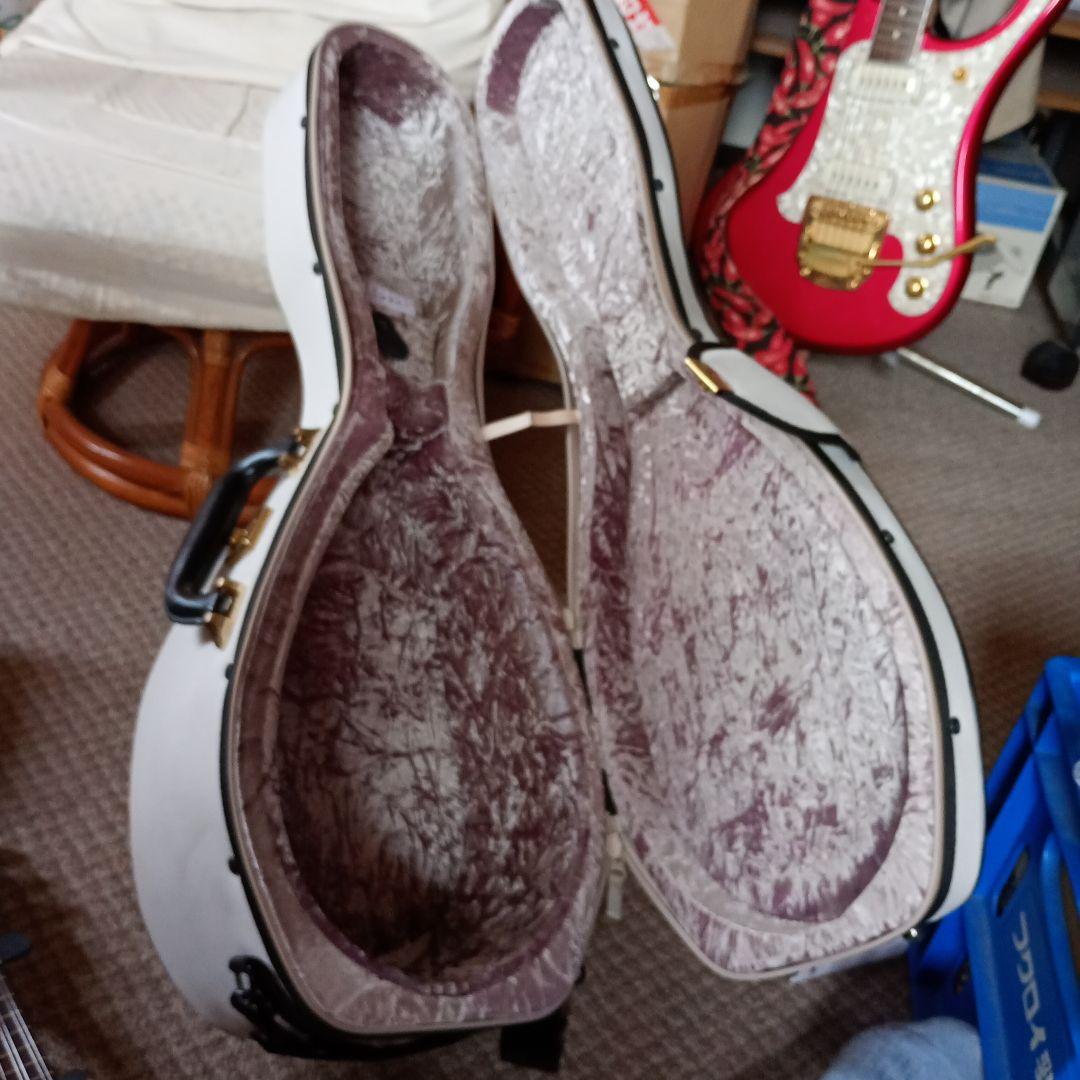 マンドリン ソフトケース 　スーパーライトケース