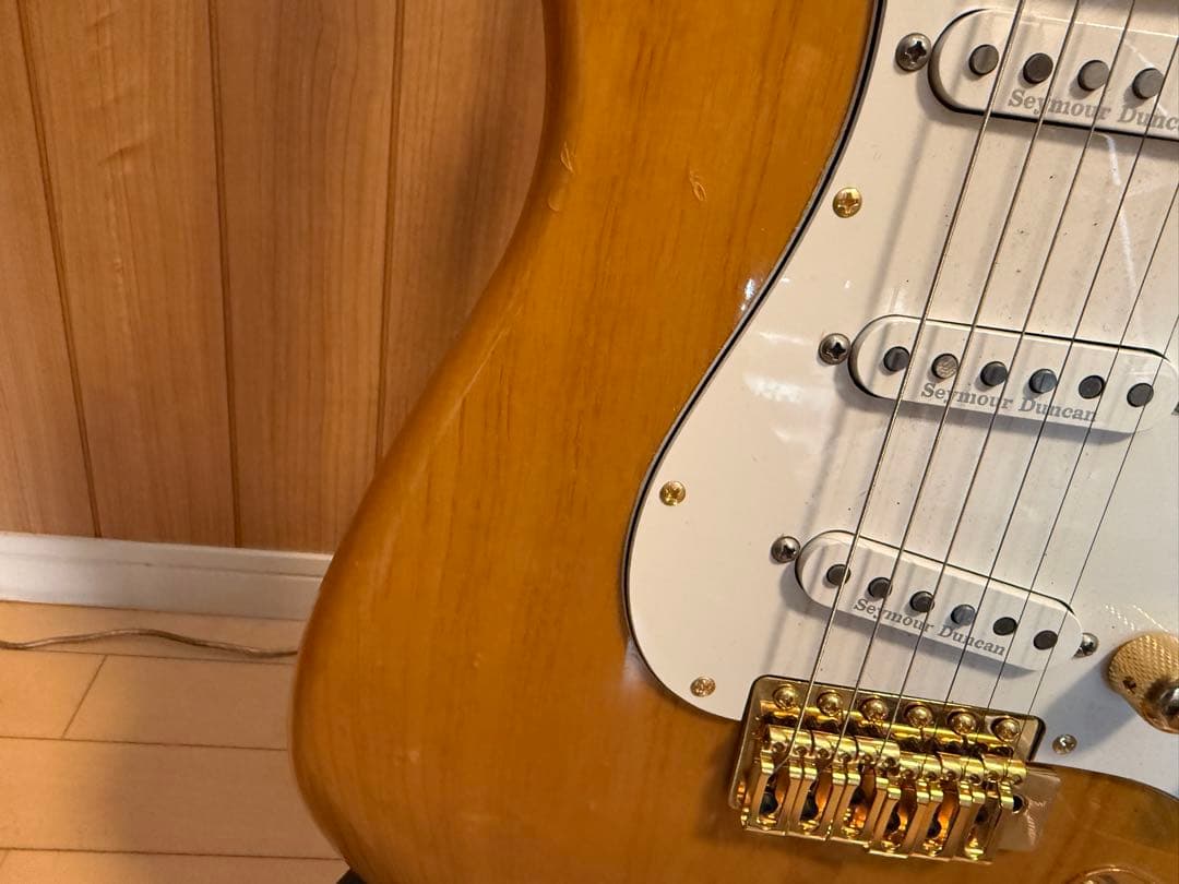 ギター Momose MC2-STD/M NA MOD GOLD VSVG SSL-1