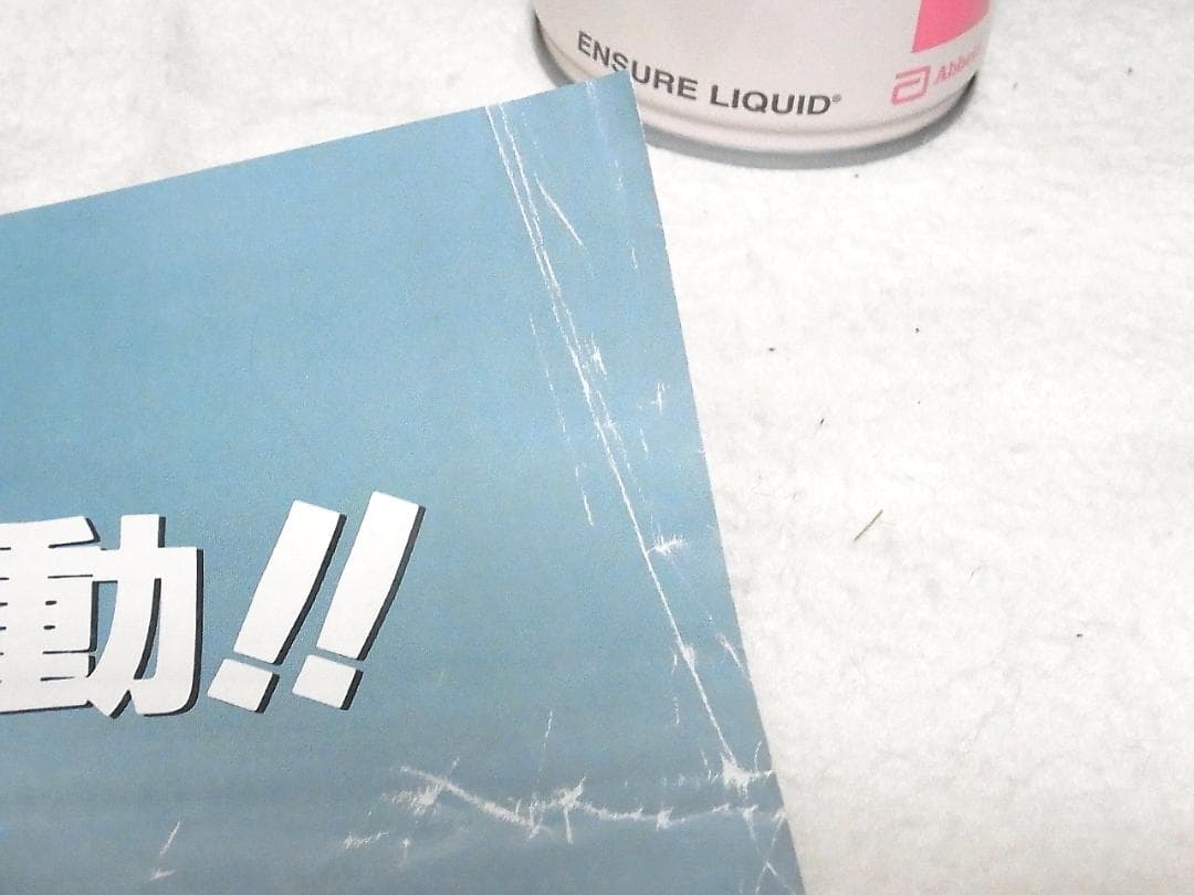 強殖装甲ガイバー GUYVER THE GUILTY B2 ポスター 発売告知