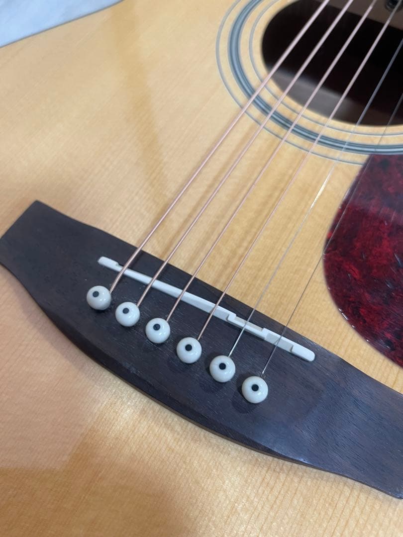 【送料込】Stafford SF-200F FISHMANエレアコ仕様