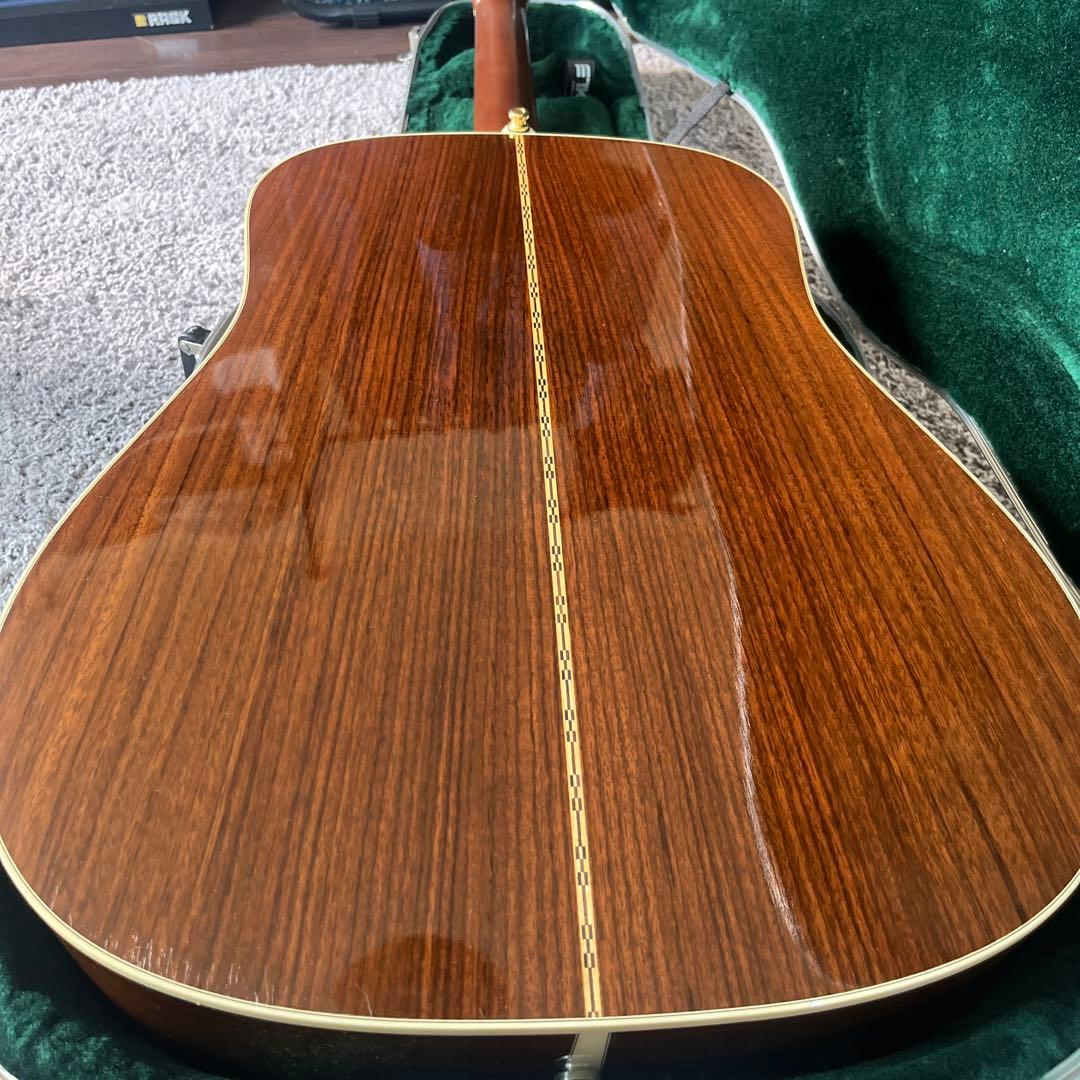 Martin D-28 Standard fishmanピックアップ