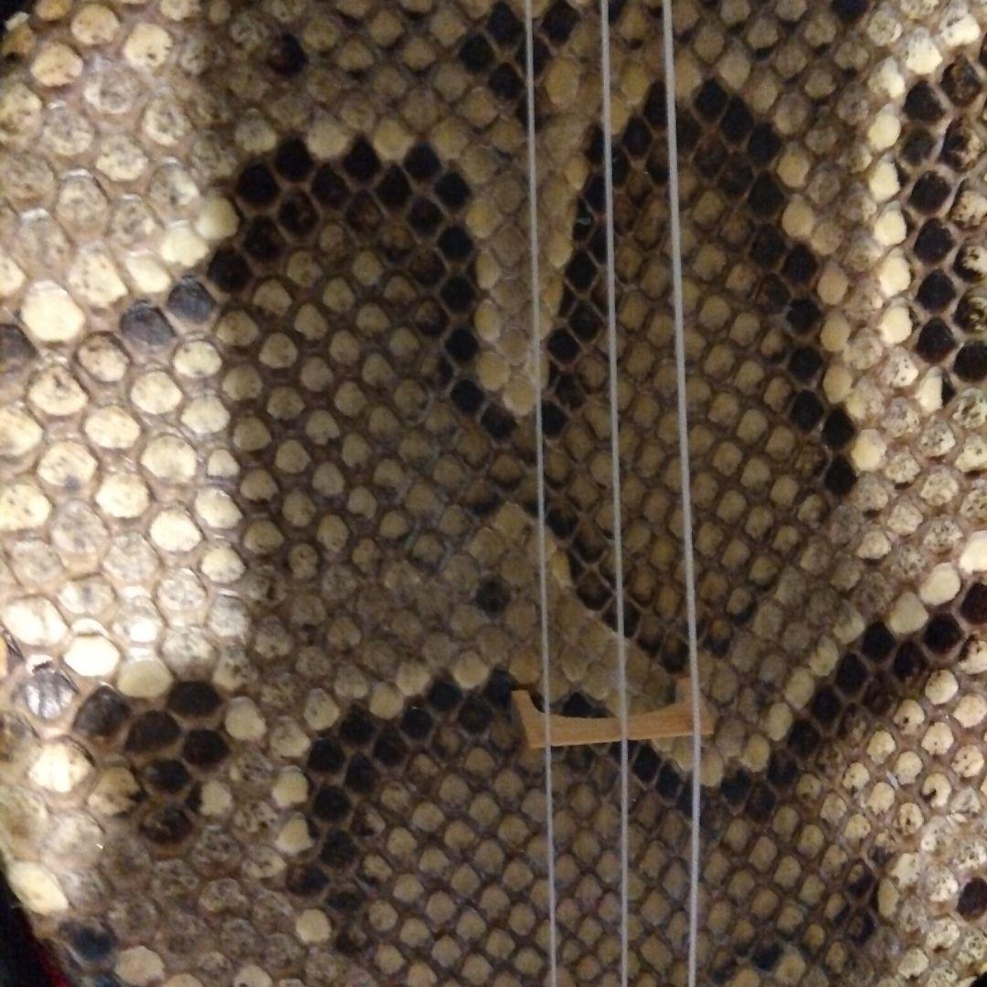 三線本体 蛇皮 金色刺繍 ケース付き