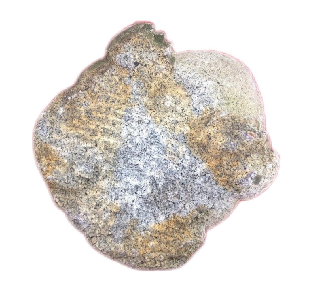 御影石の蛙石像 蛙の石彫刻 置物 オブジェ かえる 庭石 庭園 飾り