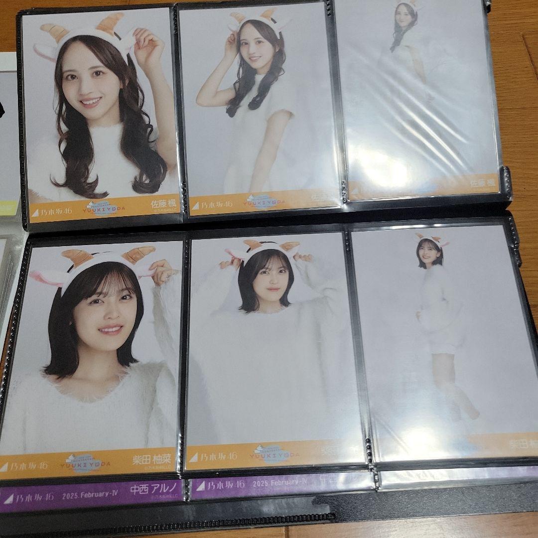 乃木坂46 生写真 173コンプ まとめ売り