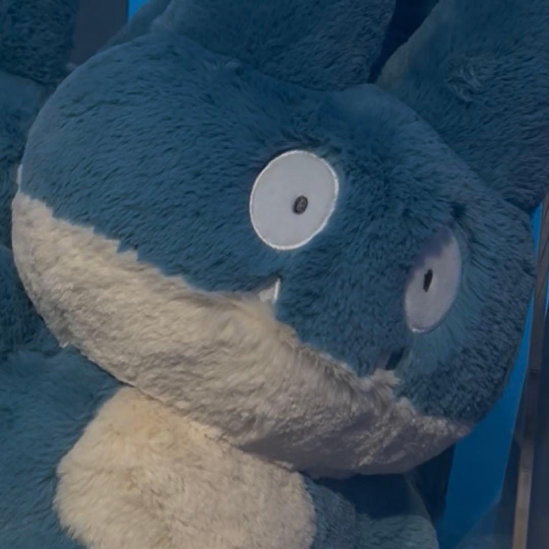 ふわふわ抱きぬいぐるみ アローラロコン　ウリムー　ゴンベ　ニャスパー　③