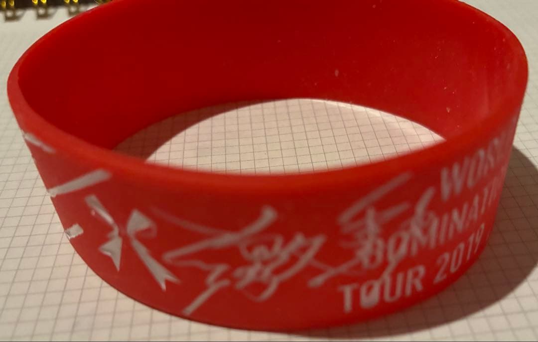 ラバーバンド WORLD DOMINATION TOUR 2019 ばんどめいど