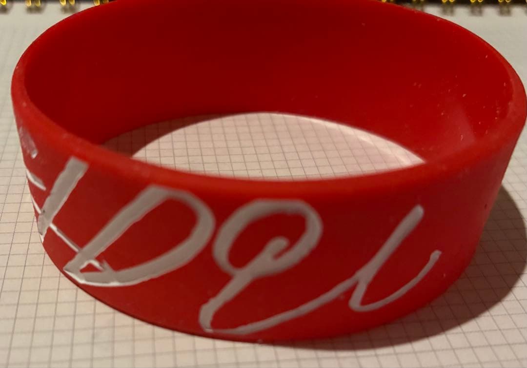 ラバーバンド WORLD DOMINATION TOUR 2019 ばんどめいど