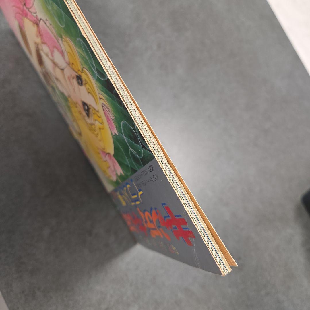 値下げ！キャンディ・キャンディ イラスト集 Part 2