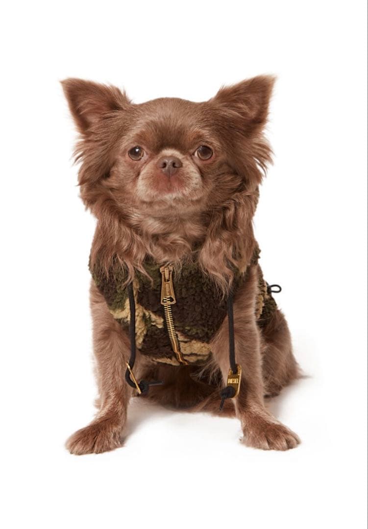 DIESEL ドッグウェアコレクション　カモフラージュパーカー　3S 新品未使用