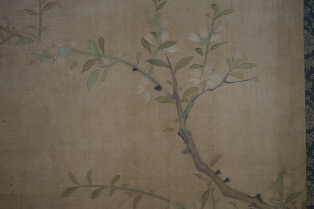 模写/熊代熊斐/椿に小禽図/布袋屋掛軸HI-946