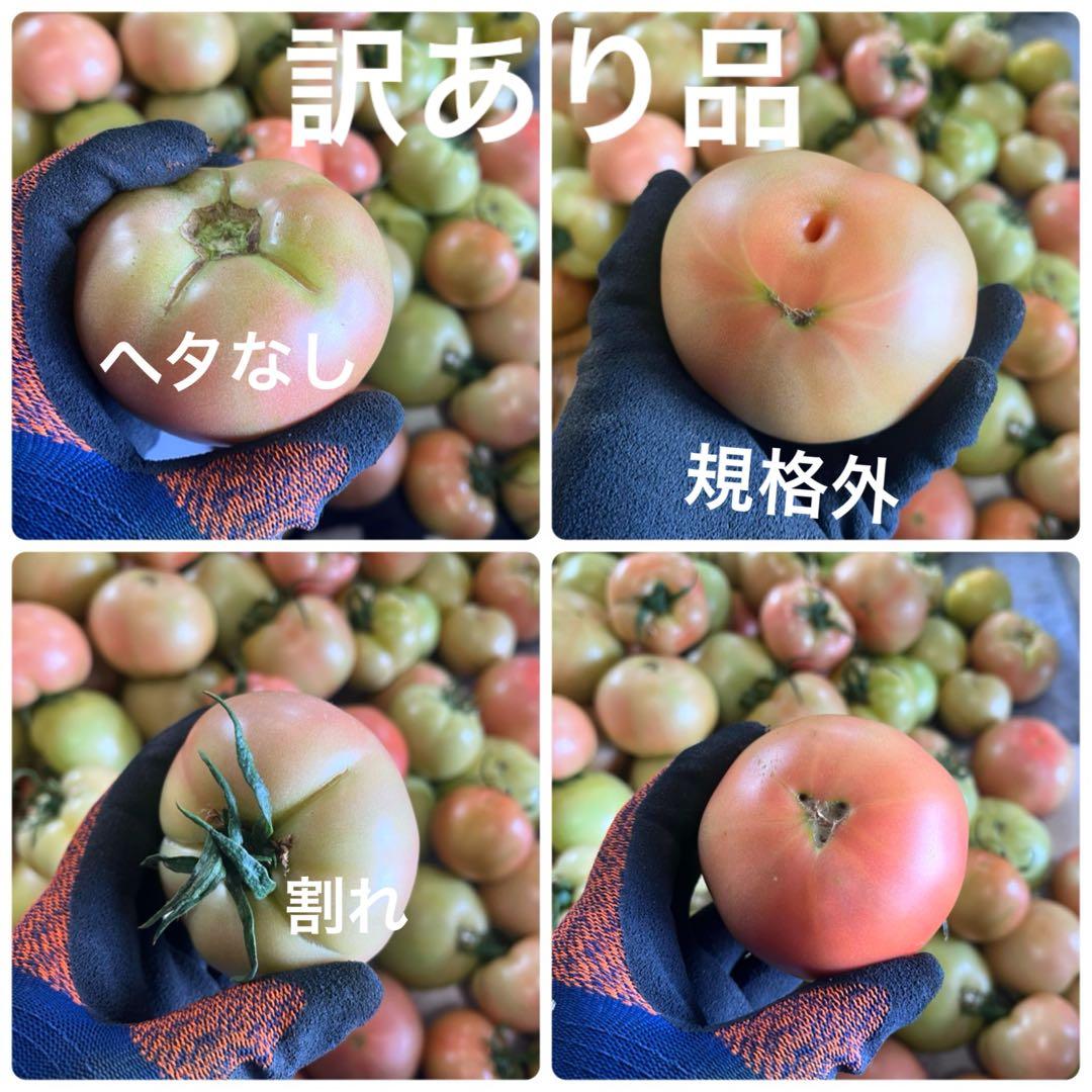 ひろです‼️3日出荷予定‼️訳ありトマト9キロ以上
