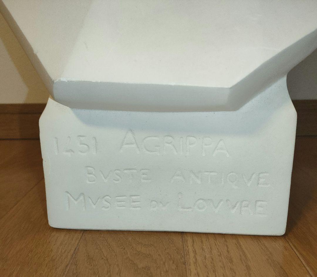 冨士石膏像 石膏像 アグリッパ 面取り 胸像 高さ60cm