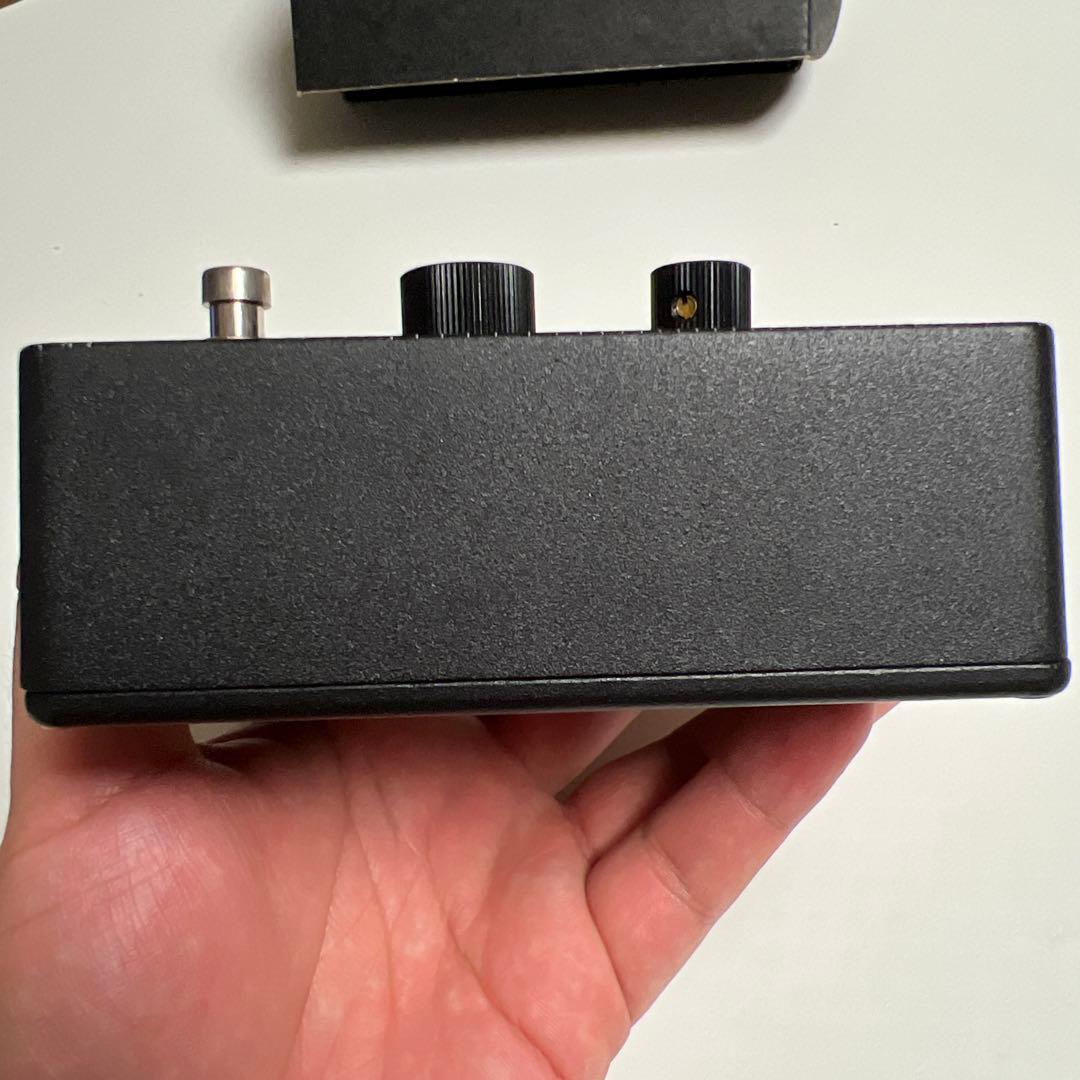 ギター PRS Mary Cries