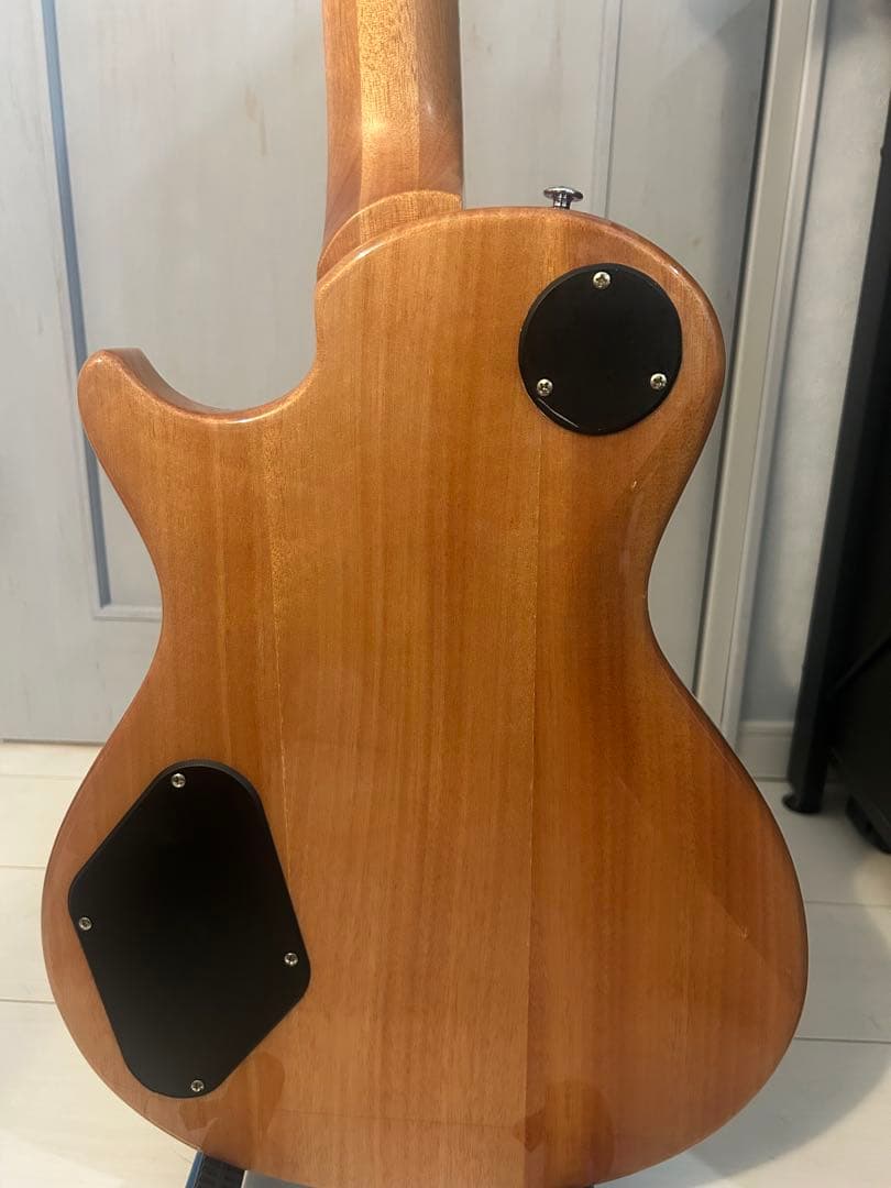 ギター Paul Reed Smith(PRS) SE ZACH MYERS