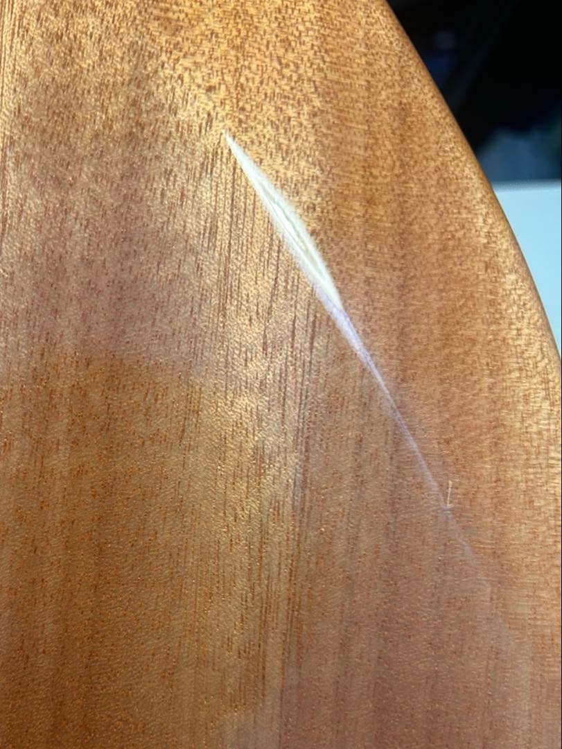 ギター Paul Reed Smith(PRS) SE ZACH MYERS