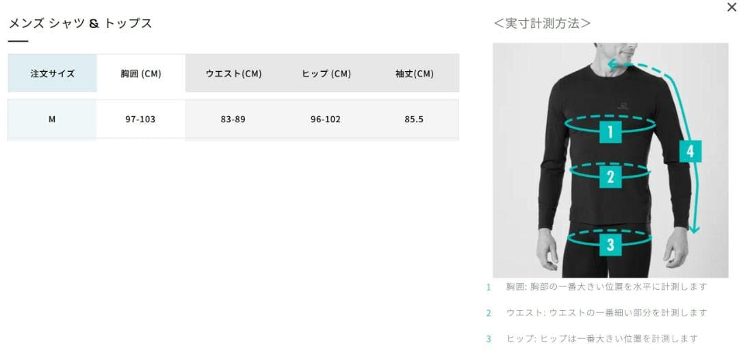 未使用SALOMON ハイランドジャケット 4ウェイストレッチ　スキースノボ