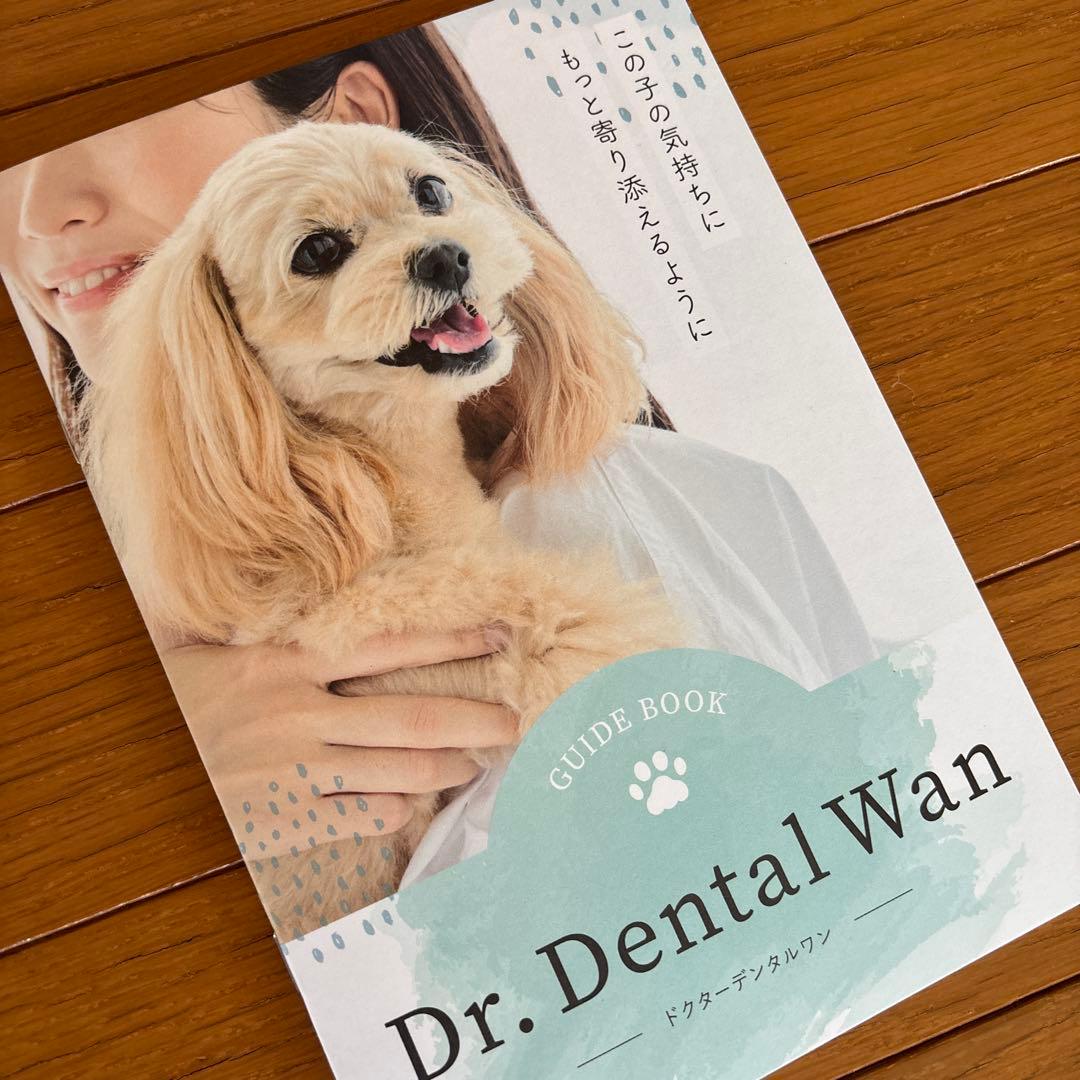 ドクターデンタルワン犬歯磨きジェル Dr. Dental Wan (ビーフ味)