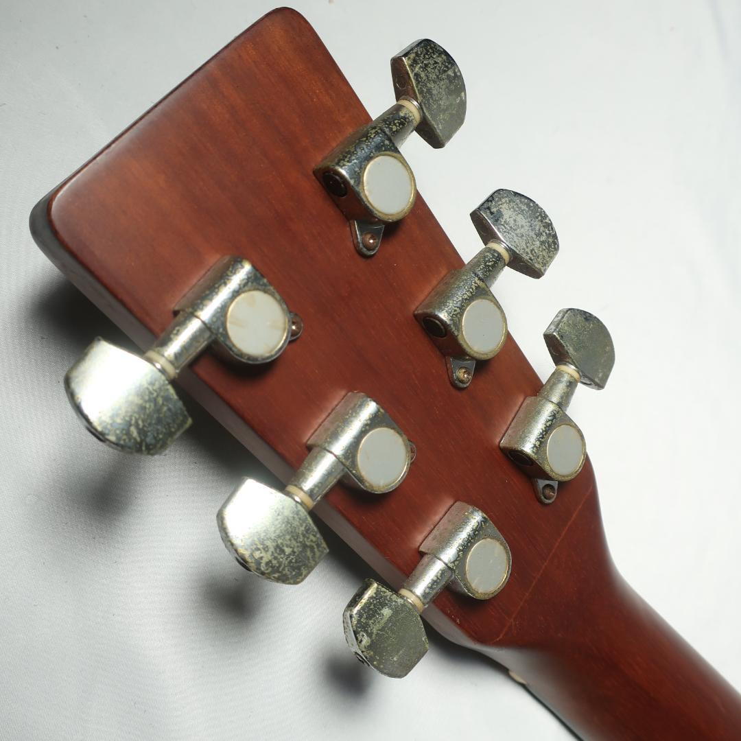 Morris MD256TS アコースティックギター