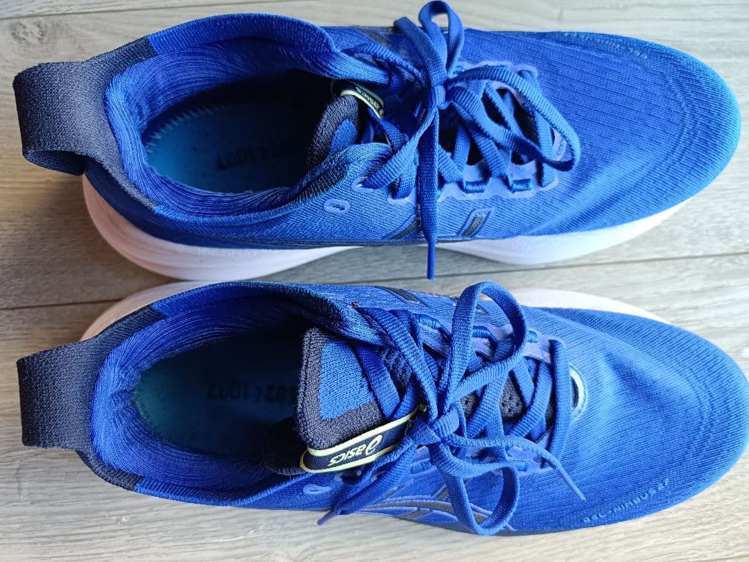 ASICS ゲルニンバス27 25cm GEL-NIMBUS 27