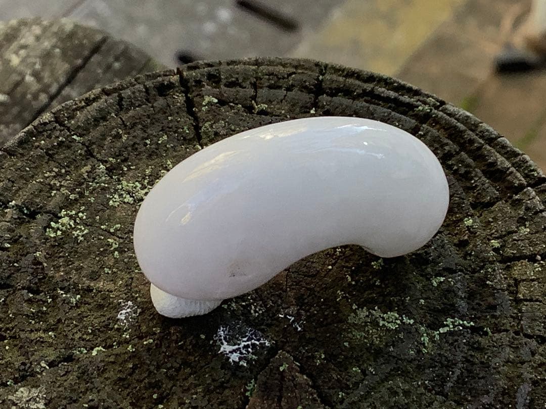 ✳白地肌*無垢物　超お買い得お値段設定‼️糸魚川翡翠勾玉　本物鑑定付15万円以上‼️